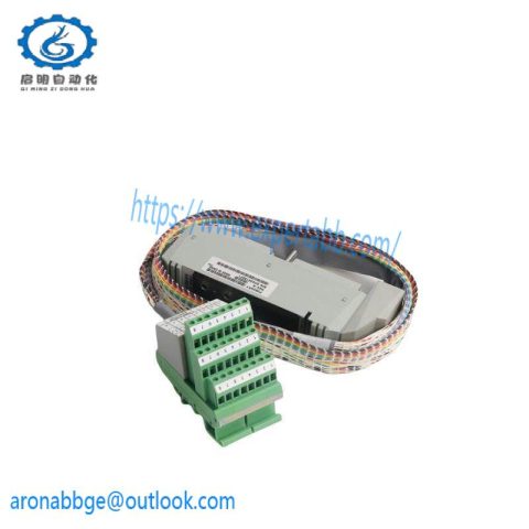 FOXBORO P0916AW System Module for Industrial Control Applications