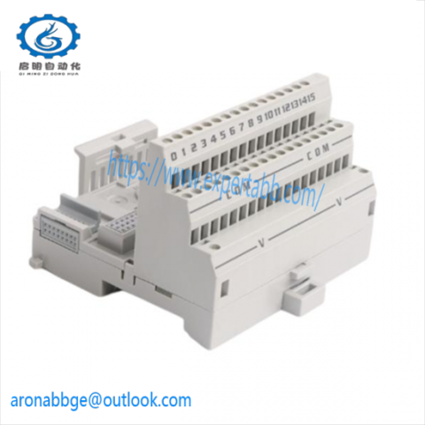 ABB 3BSE001245R1 & 3BSC640008R1 Enhanced Network Interface Module