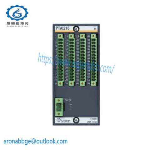 Bachmann PTAI216: High-Performance Temperature Input Module