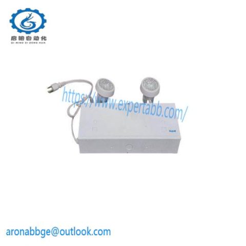 Beghelli Nova NV636/2SR9W Emergency Light Battery Unit