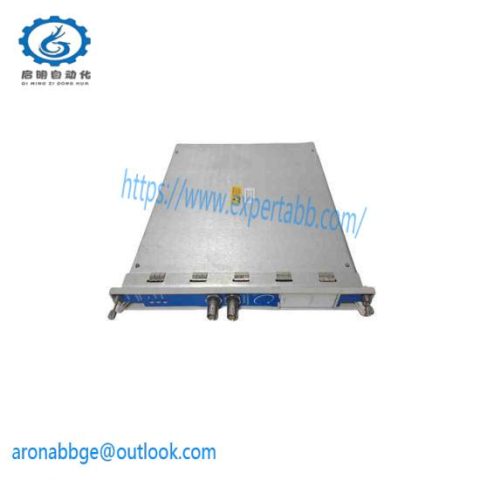 BENTLY 3500/50-01-00-01 High-Performance Vibration Monitoring Module