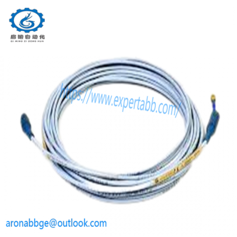 Bently Nevada 22811-01-06-10-02: Industrial Control Module