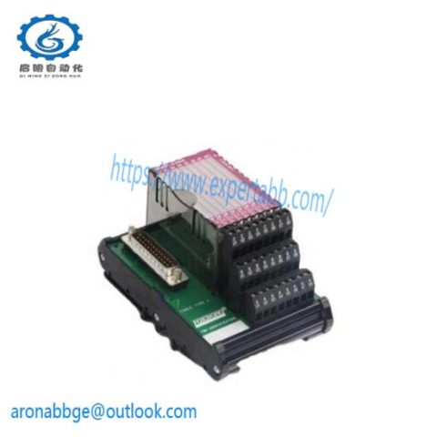 FOXBORO P0961BD-GW30B - High Performance Control Module for Industrial Automation