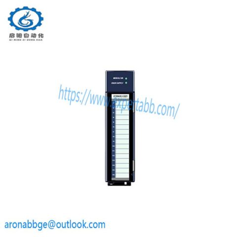 GE IC694ALG223 Input Module: Advanced Analog Input for Reliable Process Control