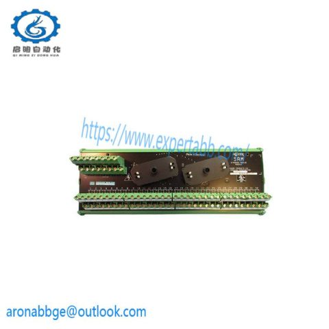 SIEMENS 16169-1-07 Analog Input Module