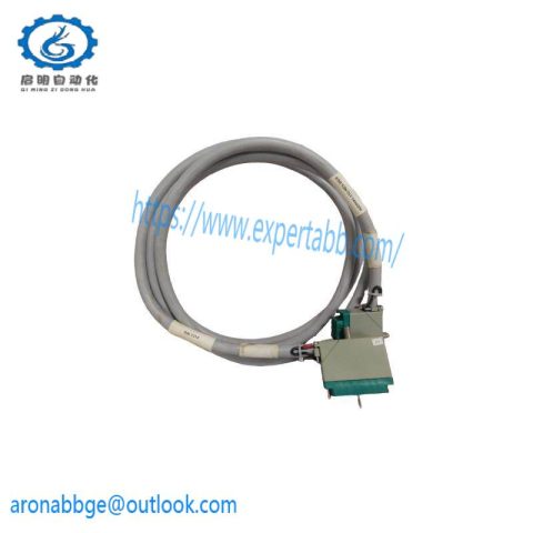 TRICONEX 4000093-310 Extended Product PLC