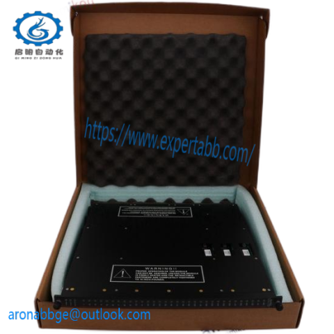 Triconex DO3401 Digital Output Module; TRICONEX