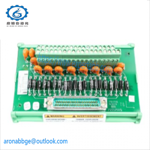 Woodward 5466-318 Micronet Timer Plus Kernel PS Module