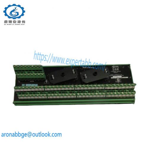 Moore 16169-1-07 SAM Standard Analog Module: Precision Control at Your Fingertips