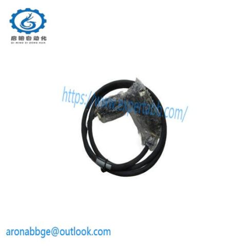 Invensys Foxboro P0916DV CABLE NSNP, Industrial Automation Control Module