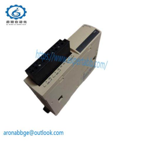 Schneider Electric TWDAMI2HT Input Module: 2-Point Analog for Precision Control