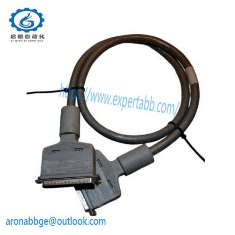 Moore 16137-189 Redundancy Cable: Safety-Centric Connectivity Solution
