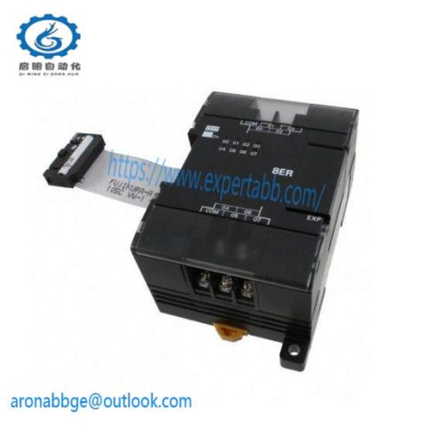 OMRON CP1W-DA021 Digital-to-Analog Converter Module