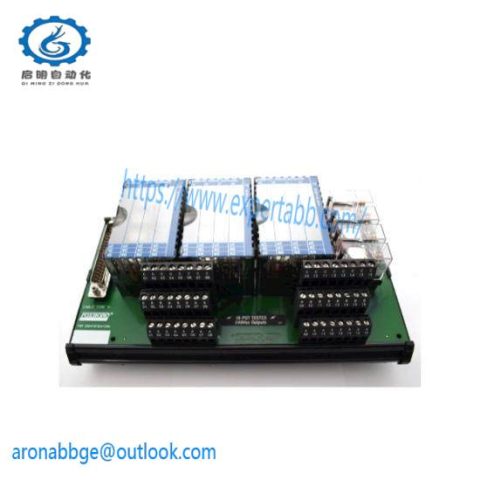 Foxboro P0916NG I/A Series Control Module