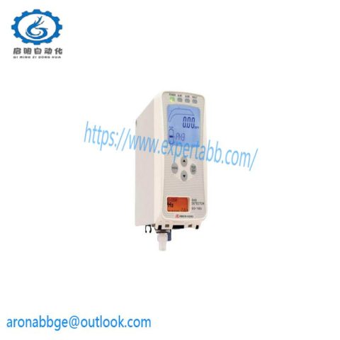 RIKEN KEIKI GD-70D Gas Detector, Industrial Safety Solutions