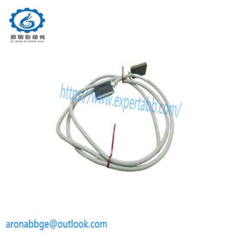 WOODWARD 5417-040 - 10FT Netcon Low Density Analog Cable