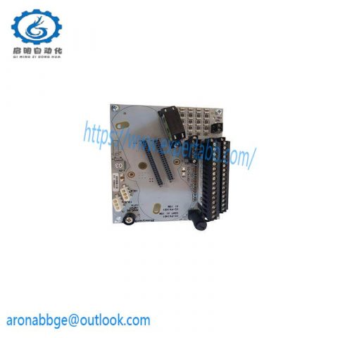 Honeywell CC-TAIX01 Analog Input Module for Industrial Automation Solutions