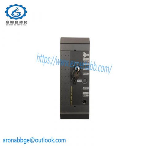 ICS TRIPLEX T8110B Processor Module, High-Performance Control Solution