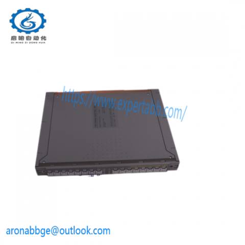ICS Triplex Trusted T8243: Diagnostic Module for Industrial Control Systems