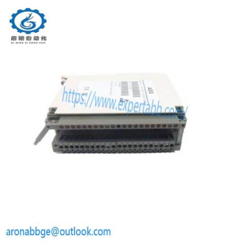 Schneider Electric AS-BDAP-216N | Digital Output Module - Advanced Control Solutions