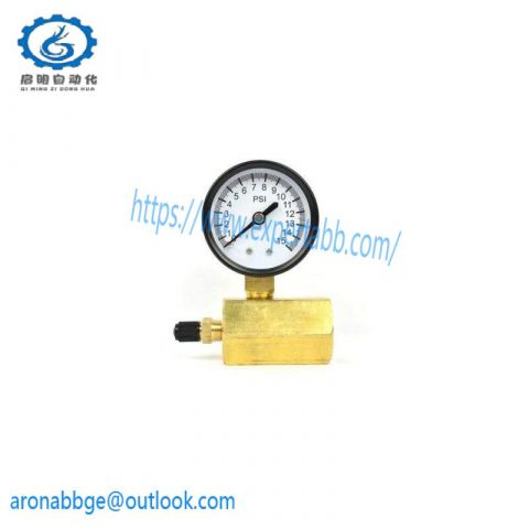 Thrifco Plumbing 8705TPE010S1W0N5 - Gas Pressure Test Gauge, Precision Instrument for Industrial Controls