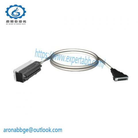 Schneider TSXDEY32D2K - Advanced Micro PLC for Industrial Automation, 200 Characters or Less