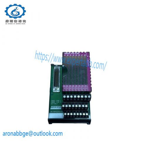 Foxboro P0916AEOC Terminal Card: Advanced Control Solution for Industrial Automation