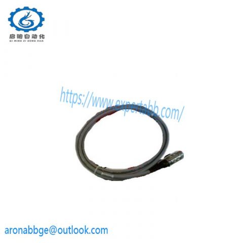 Pasan 200035 Photoelectric Monitor - Advanced Industrial Control Solution