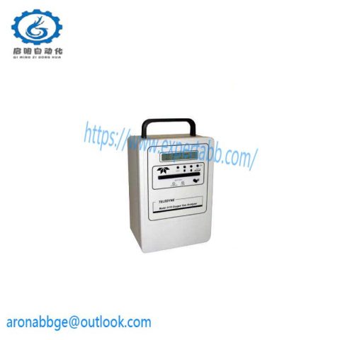 TELEDYNE 3110 Portable Oxygen Analyzers: High-precision Portable Oxygen Measurement Solutions