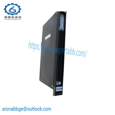 Reliance Electro 57C421B Input Module - High-Speed Analog Input for Industrial Automation