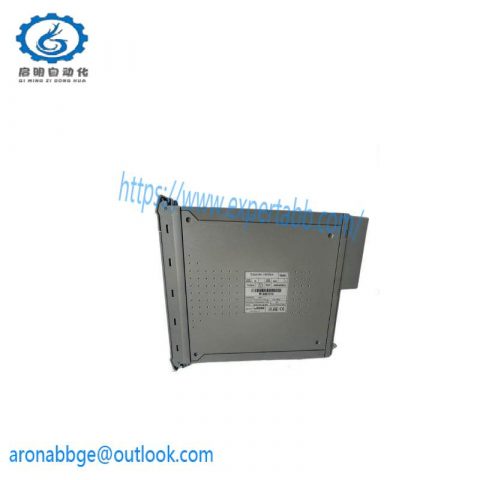 ICS TRIPLEX T8431C - Analog Input Module with 40 Channels and Paint Coat